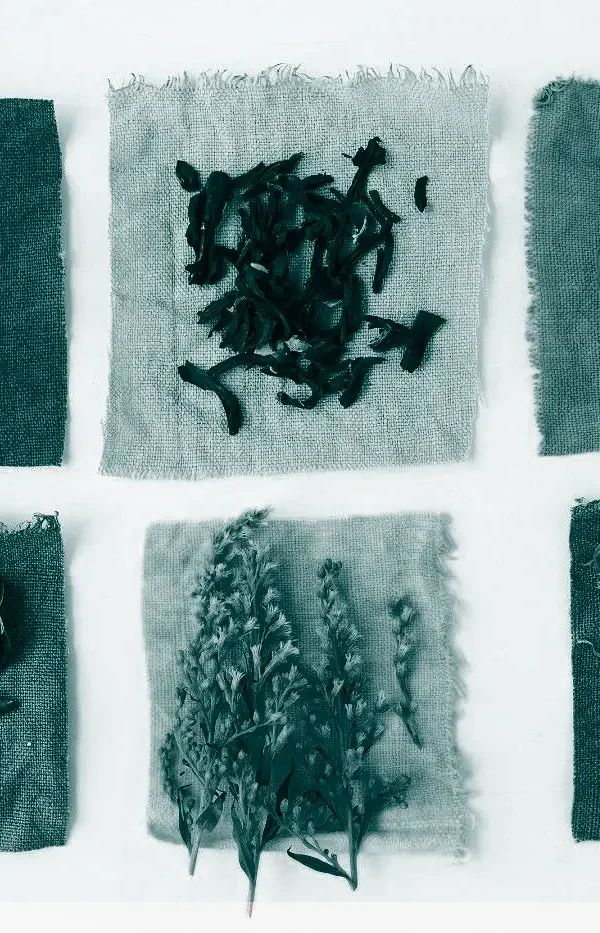 organic-garment-dyeing_